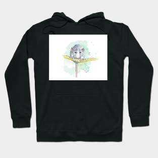 Rat on a Rope Hoodie